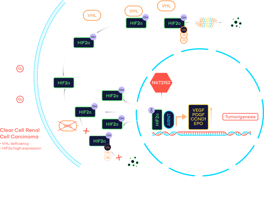 Science Pipeline Nikang Therapeutics Science pipeline nikang therapeutics